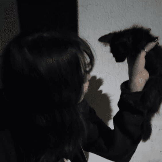 Nyx